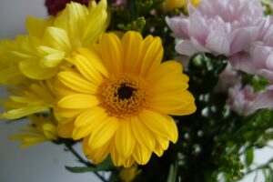 Photo Bouquets Flowers